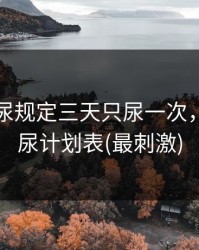 主人憋尿规定三天只尿一次，超难憋尿计划表(最刺激)