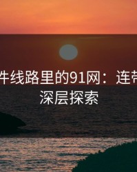 91大事件线路里的91网：连带前情的深层探索