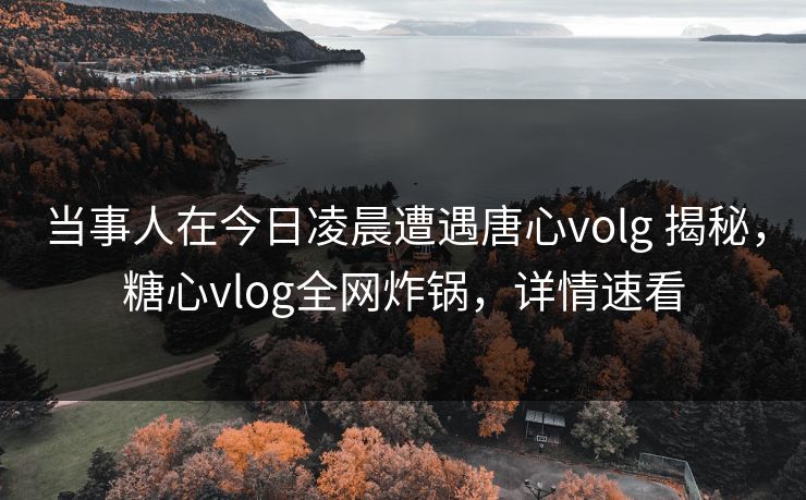 当事人在今日凌晨遭遇唐心volg 揭秘，糖心vlog全网炸锅，详情速看