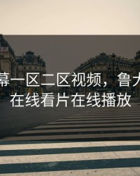 中文字幕一区二区视频，鲁大师中文在线看片在线播放