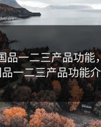 99精产国品一二三产品功能，99精产国品一二三产品功能介绍