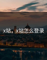 x站，x站怎么登录