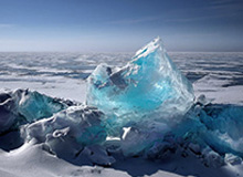 5566成年网站免费观看,56pe成人