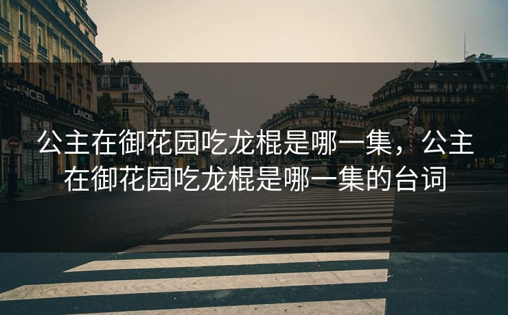 公主在御花园吃龙棍是哪一集，公主在御花园吃龙棍是哪一集的台词