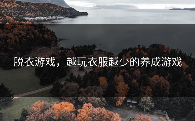 脱衣游戏，越玩衣服越少的养成游戏