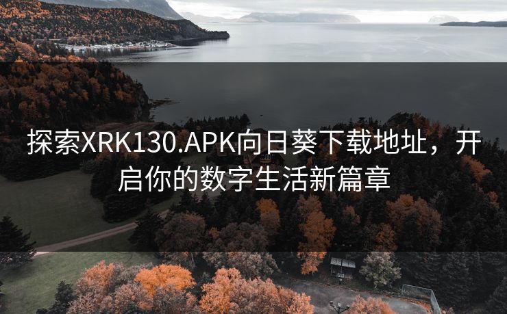 探索XRK130.APK向日葵下载地址，开启你的数字生活新篇章
