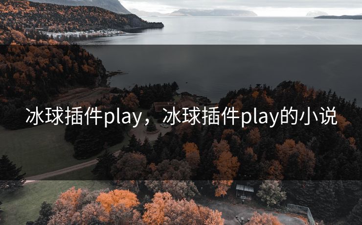 冰球插件play,冰球插件play的小说 冰球插件play,冰球插件play的小说