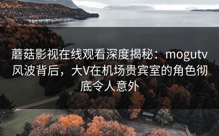 蘑菇影视在线观看深度揭秘:mogutv风波背后,大V在机场贵宾室的角色彻底令人意外 蘑菇影视在线观看深度揭秘:mogutv风波背后,大V在机场贵宾室的角色彻底令人意外