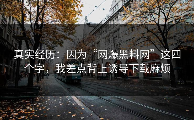 真实经历：因为“网爆黑料网”这四个字，我差点背上诱导下载麻烦